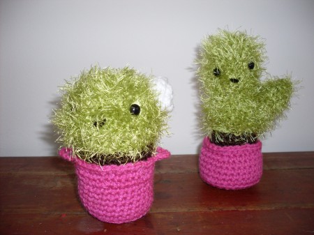 Cute Cactus